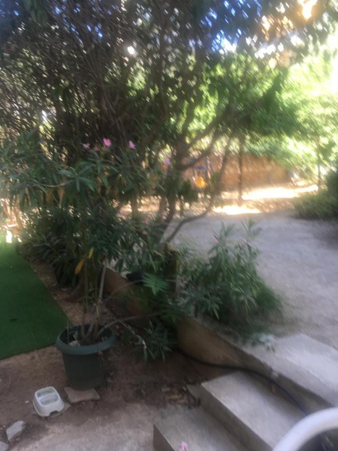 La Vie En Rose Studio,Close To Beach, Paleo Faliro アテネ エクステリア 写真